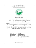 Phân tích vai trò của các tổ chức hội, đoàn thể trong việc hỗ trợ các hộ trồng quế tiếp cận các nguồn vốn vay chính thức trên địa bàn xã Y Can  huyện Trấn Yên  tỉnh Yên Bái (Khóa luận tốt nghiệp)