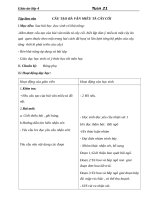 Giáo án Tiếng Việt 4 tuần 21 bài: Tập làm văn  Cấu tạo bài văn miêu tả cây cối