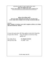 Phục tráng và nâng cao chất lượng giống TNDB 100 cho tỉnh sóc trăng 