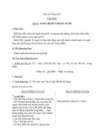 Giáo án Tiếng Việt 4 tuần 31 bài: Tập đọc  Con chuồn chuồn nước