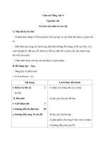 Giáo án Tiếng Việt 4 tuần 34 bài: Tập làm văn  Trả bài văn miêu tả con vật