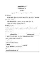 Giáo án Tiếng Việt 4 tuần 23 bài: Chính tả  Nhớ  viết Chợ Tết. Phân biệt s, x; ưt, ưc