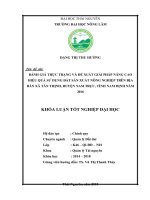 Đánh giá thực trạng và đề xuất giải pháp nâng cao hiệu quả sử dụng đất sản xuất nông nghiệp trên địa bàn xã tân thịnh   huyện nam trực   tỉnh nam định năm 2016 