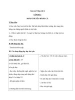 Giáo án Tiếng Việt 4 tuần 24 bài: Tập đọc  Đoàn thuyền đánh cá