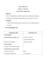 Giáo án Tiếng Việt 4 tuần 33 bài: Chính tả  Nhớ  viết : Ngắm trăng. Không đề. Phân biệt tr, ch; iêu, iu