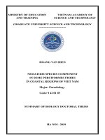 Thành phần loài giun tròn (nematoda) ký sinh ở một số loài cá thuộc bộ cá vược (perciformes) ở biển ven bờ việt nam tt tiếng anh