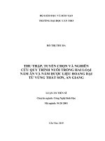 Thu thập, tuyển chọn và nghiên cứu quy trình nuôi trồng hai loại nấm ăn và nấm dược liệu hoang dại từ vùng thất sơn, an giang 