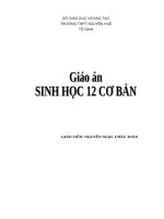 trang bìa giáo an 12 cơ bản