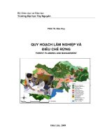 BÀI GIẢNG QUY HOẠCH LÂM NGHIỆP VÀ ĐIỀU CHẾ RỪNG