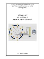 BDSC he thong lai dieu khien dien tu