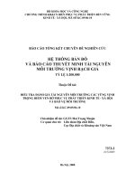BÁO CÁO HỆ THỐNG BẢN ĐỒ VÀ BÁO CÁO THUYẾT MINH TÀI NGUYÊN MÔI TRƯỜNG VỊNH RẠCH GIÁ TỶ LỆ 1:200.000
