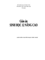 trang bìa giáo an 12 NÂNG CAO