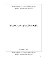 Báo cáo tự đánh giá kiểm định chất lượng giáo dục tiểu học theo TT17 (mẫu 2)
