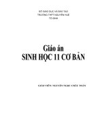 trang bìa giáo an 11 cơ bản