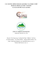 CÁC CHƯƠNG TRÌNH TOUR DU LỊCH PHỤC VỤ LỄ HỘI CÀ PHÊ BUÔN MA THUỘT LẦN THỨ 7 NĂM 2019 TỪ NGÀY 09/3 ĐẾN NGÀY 16/3/2019)