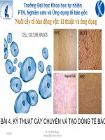 BÀI GIẢNG KỸ THUẬT CẤY CHUYỀN VÀ TẠO DÒNG TẾ BÀO
