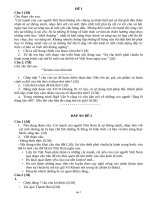 Đề luyện thi đọc hiểu ngữ văn 9