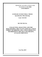 Thu thập, tuyển chọn và nghiên cứu quy trình nuôi trồng hai loại nấm ăn và nấm dược liệu hoang dại từ vùng thất sơn, an giang tt tiếng anh 