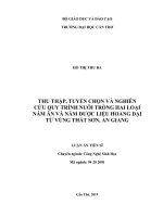 Thu thập, tuyển chọn và nghiên cứu quy trình nuôi trồng hai loại nấm ăn và nấm dược liệu hoang dại từ vùng Thất Sơn, An Giang (Luận án tiến sĩ)