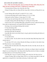 ĐỀ CƯƠNG ôn THI học PHẦN   LỊCH sử ĐẢNG   ĐẢNG LÃNH đạo CHIẾN TRANH GIẢI PHÓNG dân tộc