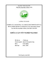 Nghiên cứu ảnh hưởng của thuốc kích thích ra rễ NAA đến sự hình thành cây hom Mắt Nai tại trường Đại học Nông Lâm Thái Nguyên (Khóa luận tốt nghiệp)