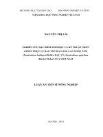 Nghiên cứu đặc điểm sinh học và kỹ thuật nhân giống phục vụ bảo tồn hai loài lan nghệ tâm (dendrobium loddigesii rolfe), hạc vỹ (dendrobium aphyllum (roxb ) fisher) của việt nam 