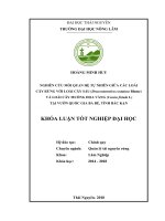 Nghiên cứu mối quan hệ tự nhiên giữa các loài cây rừng với loài cây Sấu (Dracontomelon costatum Blume) và loài cây Muồng hoa vàng (Cassia fistula L) tại vườn Quốc Gia Ba Bể  tỉnh Bắc Kạn (Khóa luận tốt nghiệp)