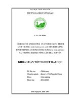 Nghiên cứu ảnh hưởng của thuốc kích thích sinh trưởng IAA (Indoleacetic acid) đến khả năng hình thành cây hom Dâm bụt (Hibiscus rosasinensis) tại trường Đại học Nông Lâm Thái Nguyên (Khóa luận tốt nghiệp)
