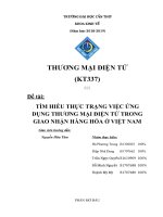 TÌM HIỂU THỰC TRẠNG VIỆC ỨNG DỤNG THƯƠNG MẠI ĐIỆN TỬ TRONG GIAO NHẬN HANG HÓA ở VIỆT NAM