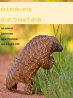 Bài thuyết trình chủ đề Bảo tồn loài Tê Tê trước nguy cơ tuyệt chủng tại Việt Nam