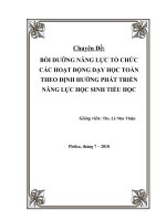 CHUYÊN ĐỀ: BỒI DƯỠNG NĂNG LỰC TỔ CHỨC CÁC HOẠT ĐỘNG DẠY HỌC TOÁN THEO ĐỊNH HƯỚNG PHÁT TRIỂN