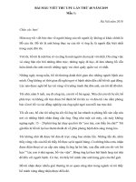 Bài mẫu viết thư UPU lần thứ 48 năm 2019