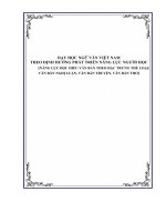 CHUYÊN ĐỀ DẠY học NGỮ văn VIỆT NAM THEO ĐỊNH HƯỚNG PHÁT TRIỂN NĂNG lực NGƯỜI học