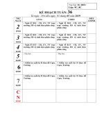 kế hoạch tuần 36 năm học 2018 2019 