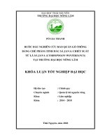 Bước đầu nghiên cứu bảo quản gỗ thông bằng chế phẩm (tinh dầu Sả Java) chiết suất từ lá Sả Java (Cymbopogon winterianus) tại trường Đại học Nông Lâm (Khóa luận tốt nghiệp)