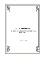 NGHIÊN CỨU VỀ ROBOT ABB FLEXPICKER