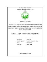 Nghiên cứu một số đặc điểm sinh học và phân bố loài cây Râu mèo (Orthosiphon spiralis) làm cơ sở cho phát triển loài tại xã Bàn Đạt  huyện Phú Bình  tỉnh Thái Nguyên (Khóa luận tốt nghiệp)