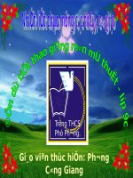 Bài giảng điện tử môn Mĩ thuật lớp 9 Tạo hình nhà rông