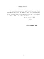 Luận án tiến sĩ nghiên cứu một số kỹ thuật phát hiện ảnh giấu tin 