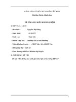 Sáng kiến kinh nghiệm bồi dưỡng học sinh giỏi môn lịch sử ở trường THCS 