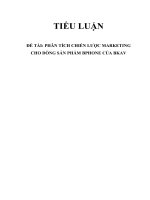 Phân tích chiến lược Marketing của dòng điện thoại Bphone của BKAV