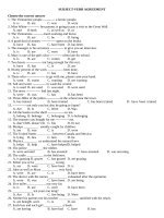 SUBJECT VERB AGREEMENT