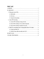 Tìm hiểu và thiết kế anten pifa ứng dụng cho tần số wifi chuẩn 802.11g