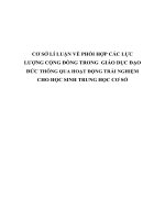 CƠ sở lí LUẬN về PHỐI hợp các lực LƯỢNG CỘNG ĐỒNG TRONG  GIÁO dục đạo đức THÔNG QUA HOẠT ĐỘNG TRẢI NGHIỆM CHO học SINH TRUNG học cơ sở 