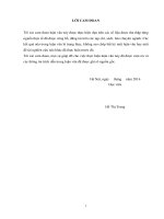 tăng cường quản lý nhà nước trong công tác bảo vệ môi trường lưu vực sông nhuệ   sông đáy 