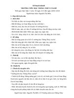 Giáo án chủ đề trường tiểu học