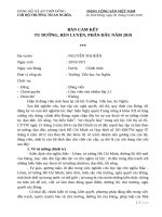 BẢN CAM KẾT TU DƯỠNG RÈN LUYỆN ĐẢNG VIÊN 2019 DÀNH CHO GIÁO VIÊN