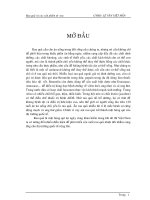 Báo cáo về rau và các sản phẩm về rau