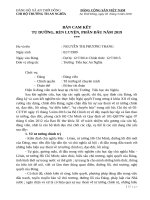 BẢN CAM RÈN LUYỆN ĐẢNG VIÊN 2019