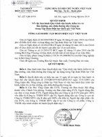 Quy trình vận hành đường dây trung áp 2019